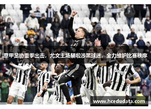 意甲足协重拳出击，尤文主场禁啦涉黑球迷，全力维护比赛秩序